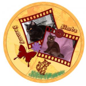 sammy-simbaweb.jpg