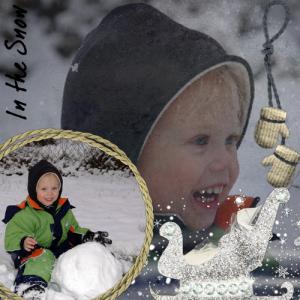 inthesnowweb.jpg